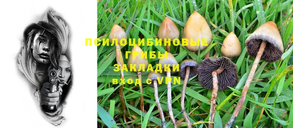 мет Коряжма